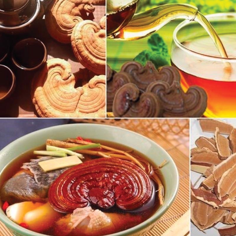 Nấm Linh Chi Đỏ, Vàng, Thái Lát Thượng Hạng Hộp Cô Gái Hàn Quốc