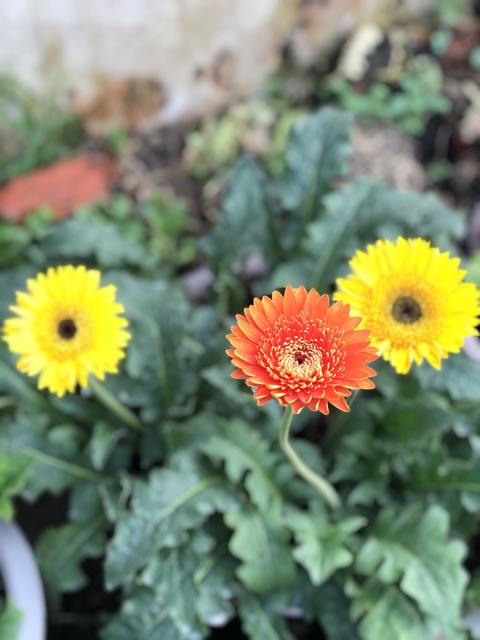 slide