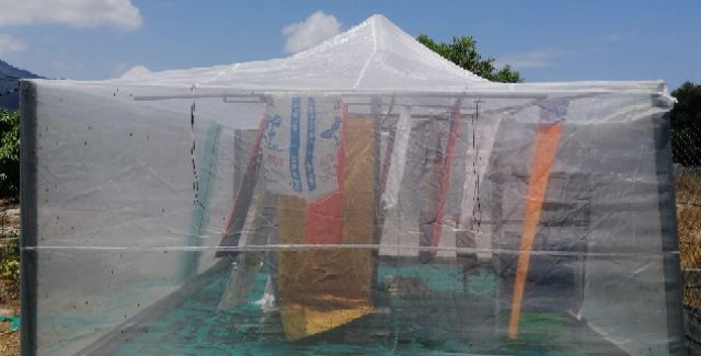 Mùng nuôi ruồi lính đen - Lưới chống ruồi đẻ bậy