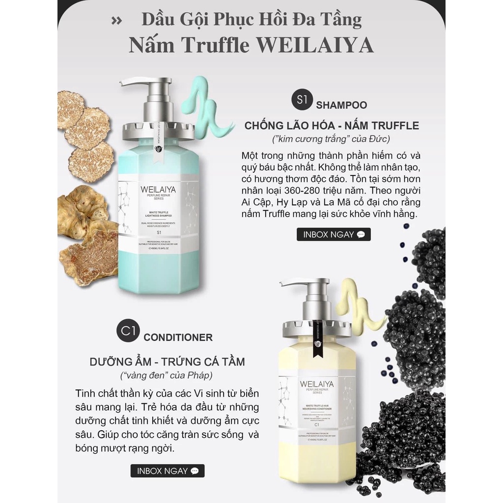 HÀNG NHẬP KHẨU - Cặp dầu gội xả thảo dược Weilaiya phục hồi đa tầng nấm Truffle chống lão hóa da đầu và mượt tóc hư tổn
