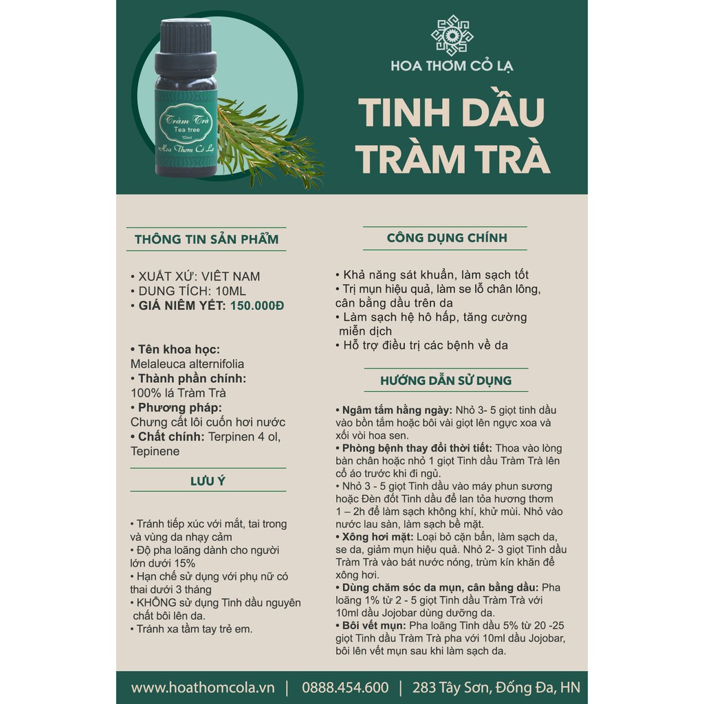 Tinh Dầu Tràm Trà Nguyên chất - Tea Tree Essential Oil - Hoa Thơm Cỏ Lạ