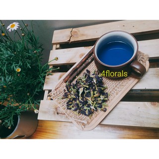 Trà hoa Đậu Biếc