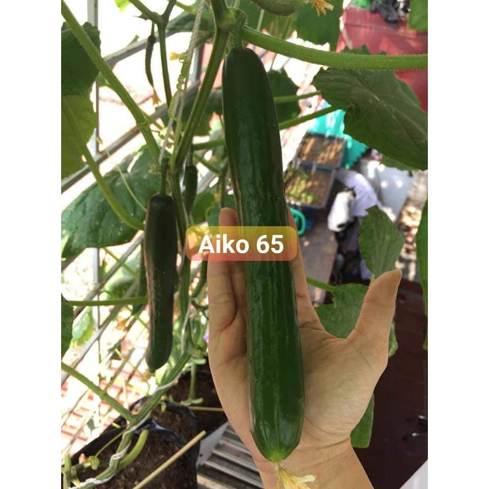 [Hạt giống Nhật]Hạt dưa leo Aiko 65 dài Nhật Bản tự thụ phấn, giòn ngọt, sai quả gói 10 hạt