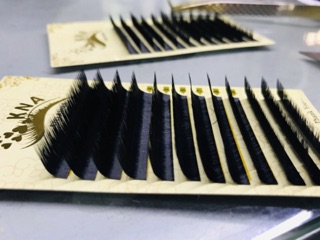 Mi khay cong M ( silk/ mink chuẩn Hàn)