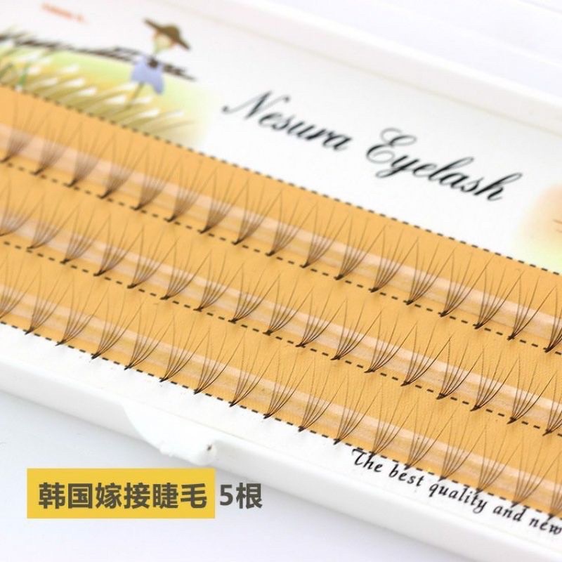 Mi chùm ,mi fan lên mắt đẹp