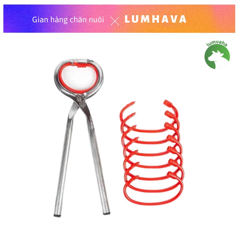 Kìm bấm mũi bò inox 304 xỏ vòng nhựa cho trâu bò VA10