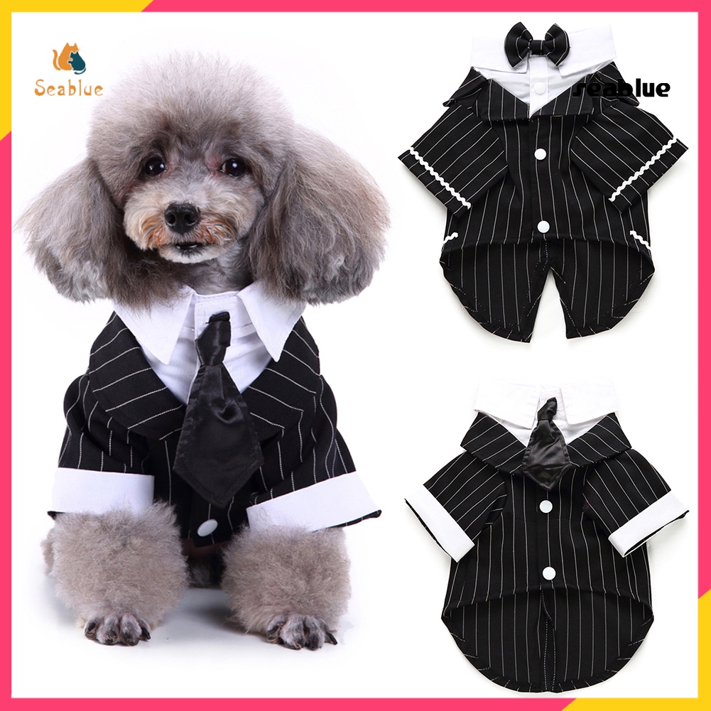 Set Đồ Vest 3 Món Thanh Lịch Cho Cún Cưng