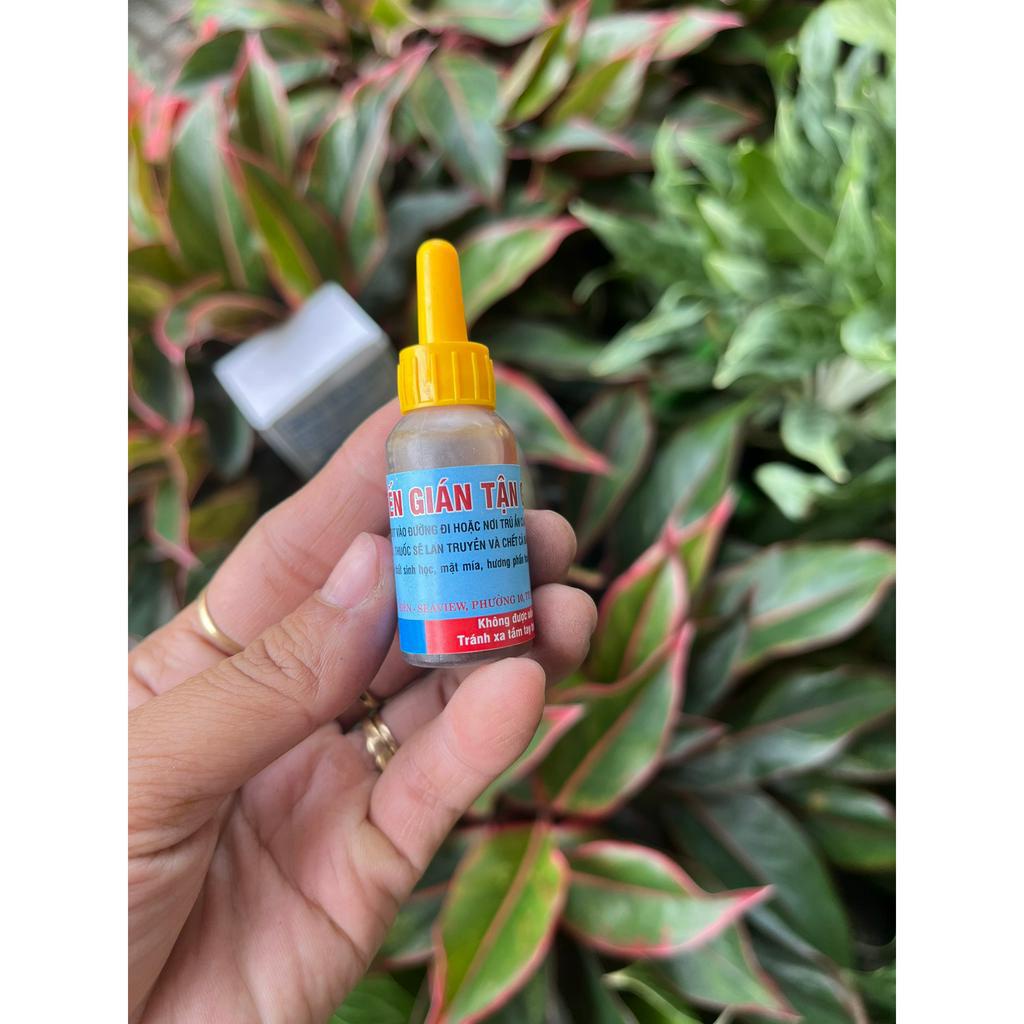 Chế phẩm sinh học diệt kiến gián tận gốc dạng chai nhỏ giọt 10ml