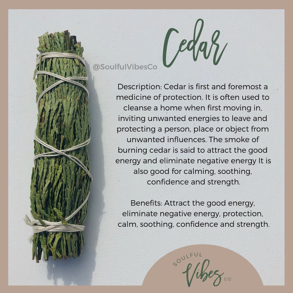 Bó xô thơm bảo vệ (Mix 2 loại xô thơm trắng và Tuyết tùng) 10cm xông thơm nhà cửa Song An Eco