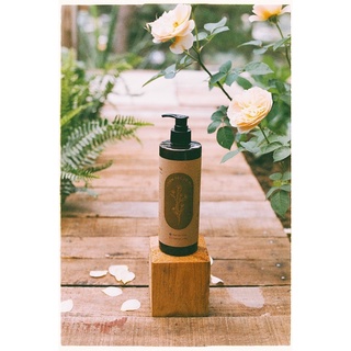 [BẢN MỚI MÙI TRÀ LÀI] Dầu gội hoa khô & thảo mộc