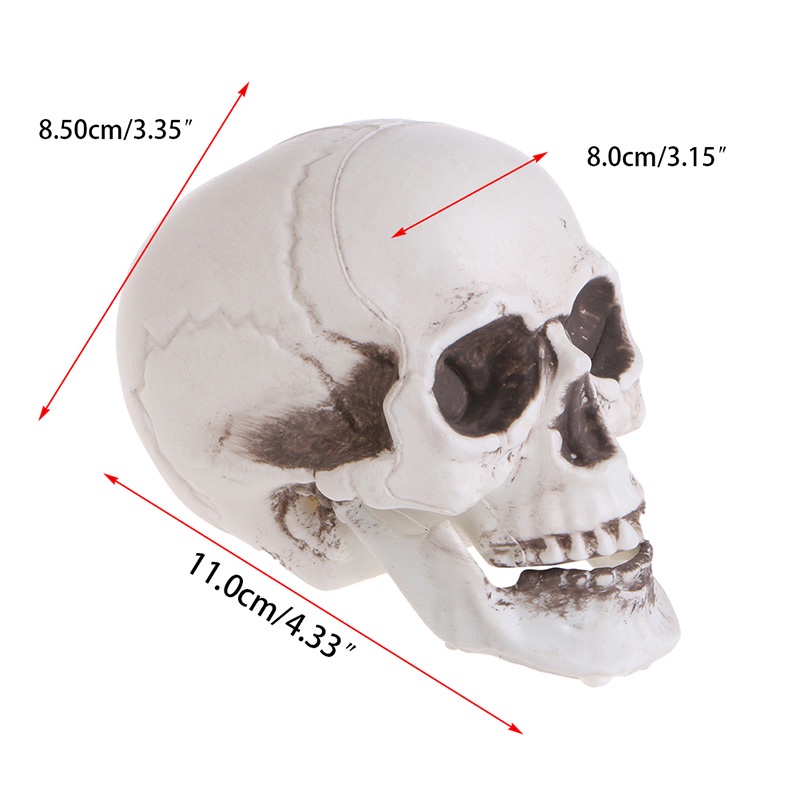 Bộ Xương Người Bằng Nhựa Mini Trang Trí Halloween