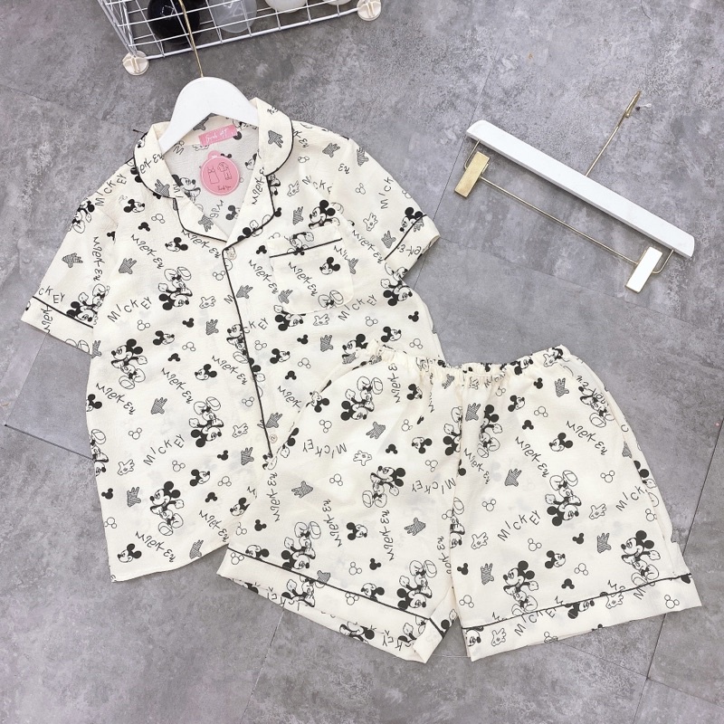 Bộ pijama mặc nhà quần đùi áo cộc hoạ tiết hình xinh, Đồ ngủ nữ xinh hàng Quảng Châu