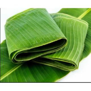 1kg lá chuối tươi vườn nhà lá to đẹp