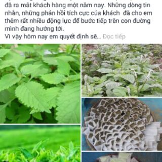 19 túi lá tắm thảo dược cho bé