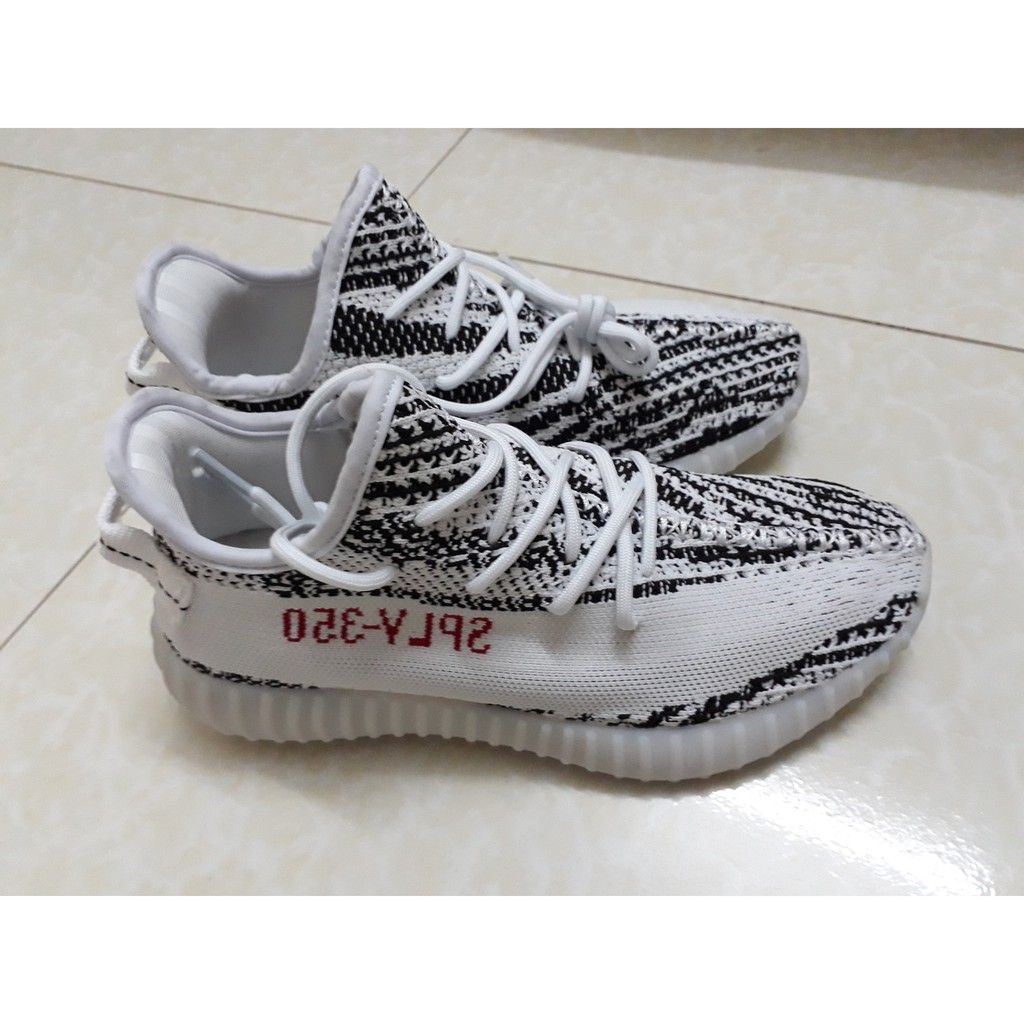 giày thể thao cao cấp YZ 350 Zebra