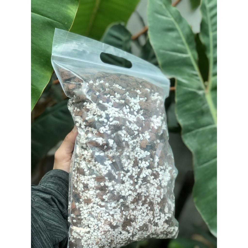 Giá thể Dừa cục Trộn Perlite