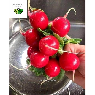 Hạt Giống Củ Cải Đỏ Cherry Gói 1Gr