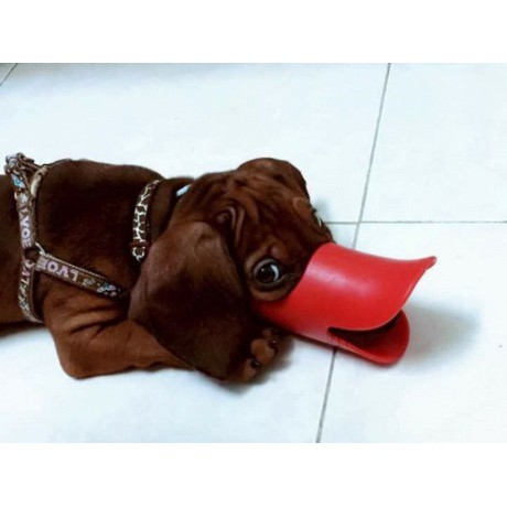 Rọ mõm chó mỏ vịt