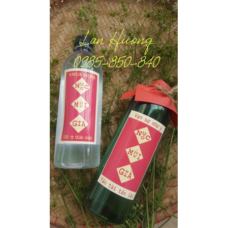 Nước cất tinh dầu mùi già Vnuaherb - Học viện Nông nghiệp VN