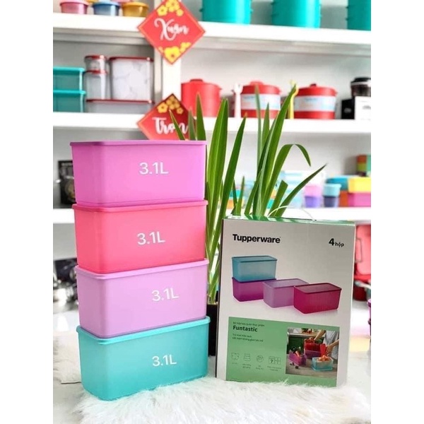 Set hộp Funtastic