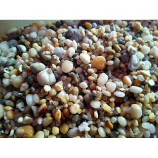 500gr Sỏi Trang Trí Nhiều Màu