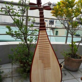 Đàn tỳ bà Trung Quốc ( pipa)
