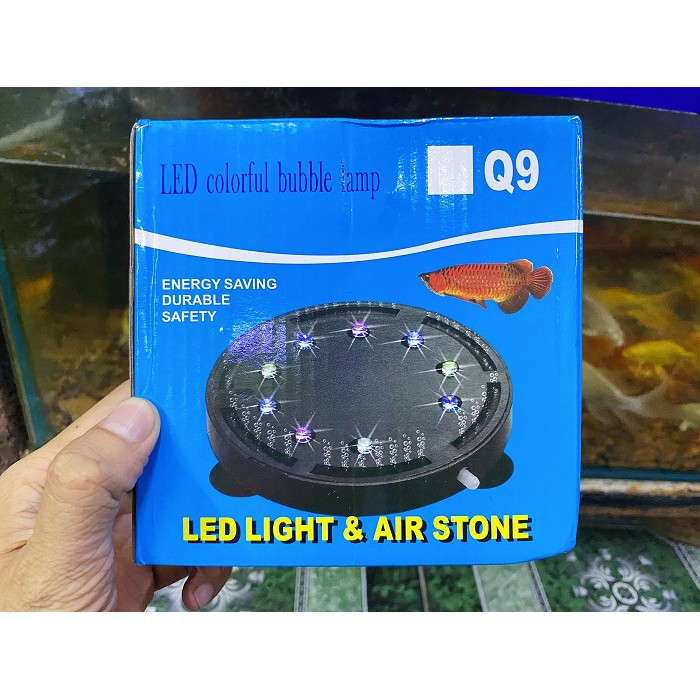 OXY LED ĐỔI MÀU TRANG TRÍ HỒ CÁ NON BỘ