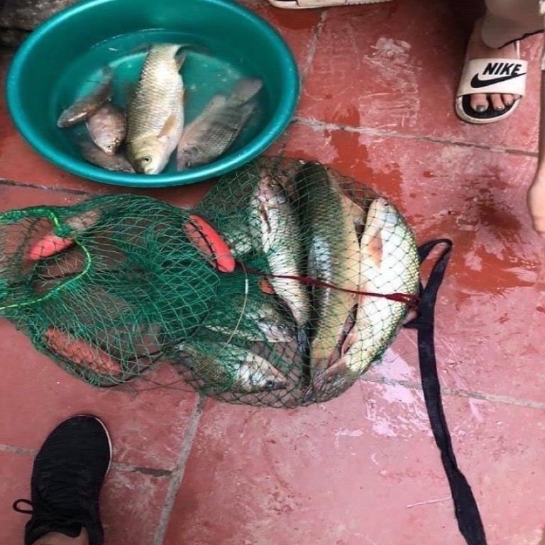 Mồi câu chép tàu hương dâu siêu nhậy giá rẻ y hình