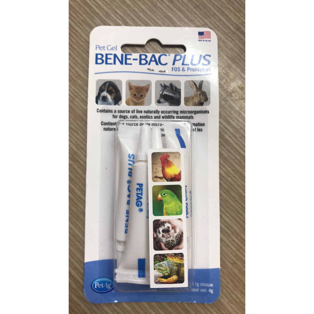 [Siêu rẻ]Men tiêu hóa Bene-bac plus Gel
