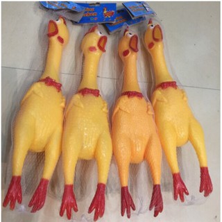 Gà A Lử cỡ to 41cm
