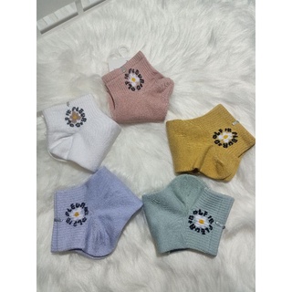 Sét 5 đôi tất nữ cổ trung cotton dầy dặn