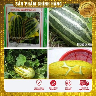 HẠT GIỐNG DƯA BỞ QUẢ DÀI LUCKY SEEDS (10GR )