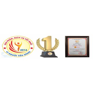 Áo ngực có gọng, mút mỏng vừa phải