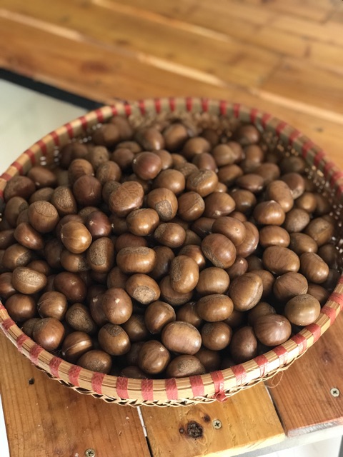 Thỏ Hạt Dẻ- Hạt Dẻ Thái Lan