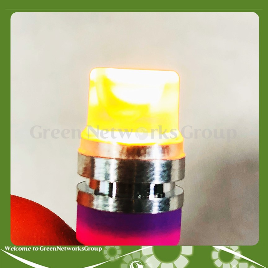 Đèn xi nhan chân ghim T10 chớp ánh sáng 7 màu Greennetworks