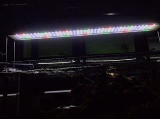 ĐÈN LED A1 PRO CHUYÊN CHO THUỶ SINH