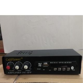 Ampli mini califlower dc 12v, usb, có bluetooth