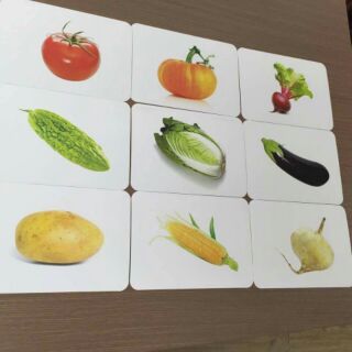 Bộ thế giới xung quanh ( to flashcard)