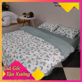 Chăn ga gối Cotton Living-Quýt xanh giá rẻ