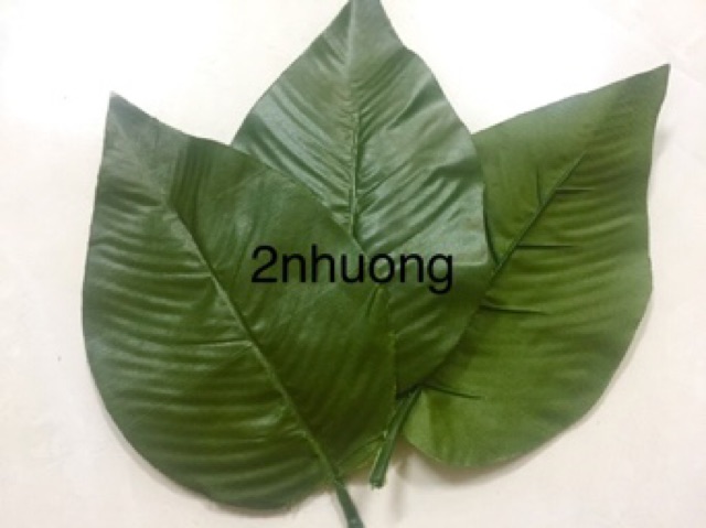 Lá nhựa giả lớn to có gân lỗ cắm