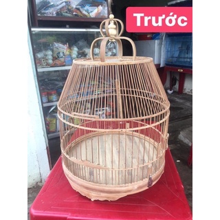 Dầu Quét Lồng Chim Hoàng Long