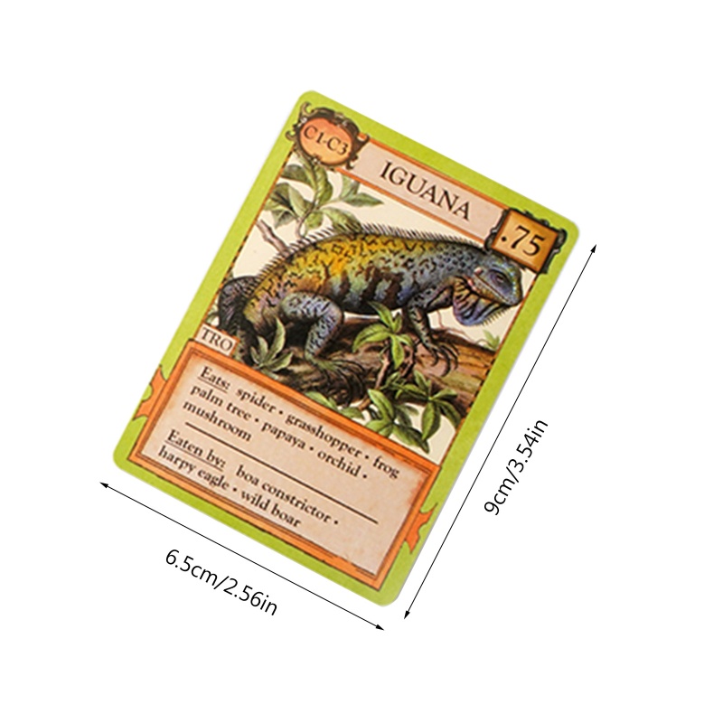 Bộ Bài Tarot Cổ Điển Độc Đáo