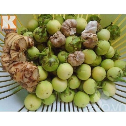 Hạt Giống Cà Pháo Xanh Cao Sản F1⚡️ Chống Chịu Sâu Bệnh Sinh Trưởng Khỏe