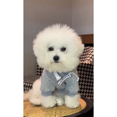 Áo mũ trùm trơn dành cho thú cưng