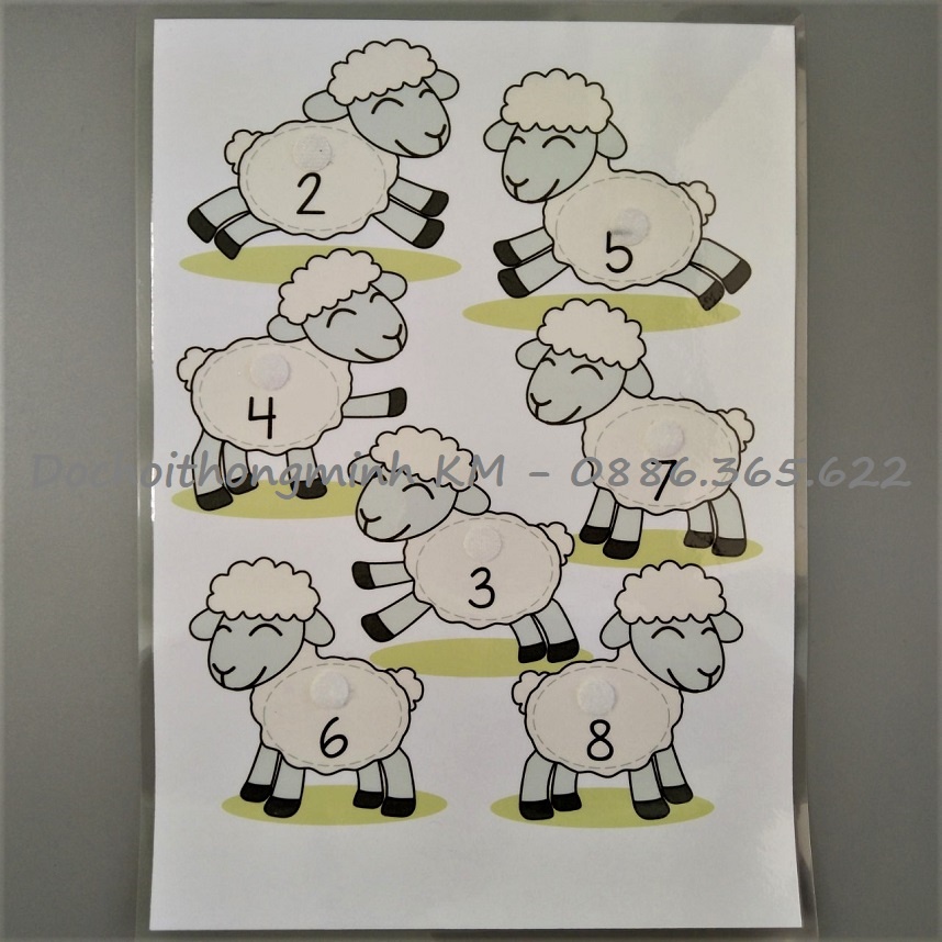 HỌC LIỆU - Cừu làm toán