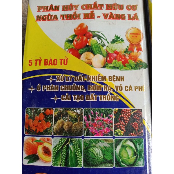 NẤM TRI TRÔ Ủ PHÂN,CHẤU