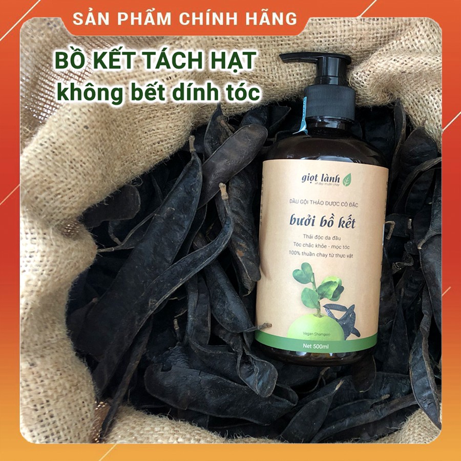 Dầu Gội Thảo Dược Bưởi & Bồ Kết - Kích Mọc Tóc Nhanh Giọt Lành 500ml