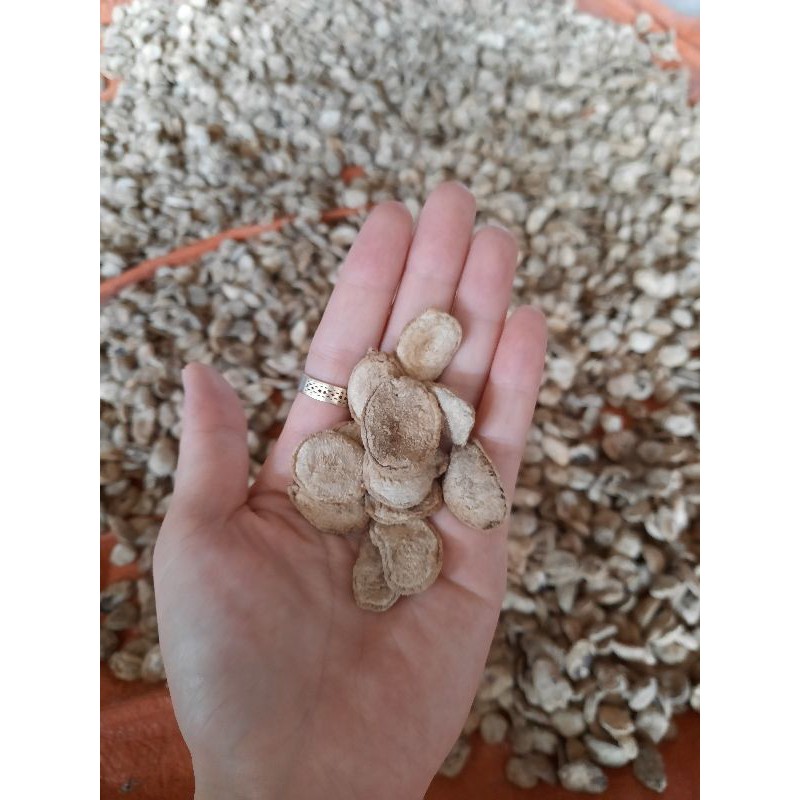 10 Hạt sành ( hạt sang-hạt dạ dày) chuẩn sịn | BigBuy360 - bigbuy360.vn