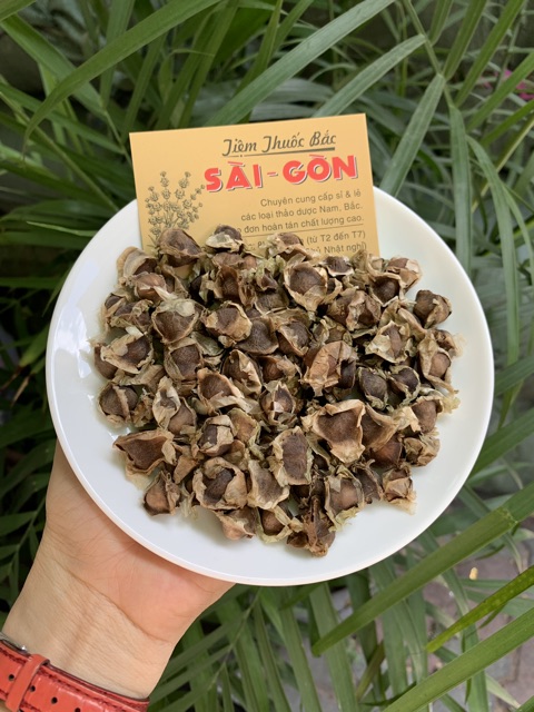 Hạt Chùm Ngây 100g