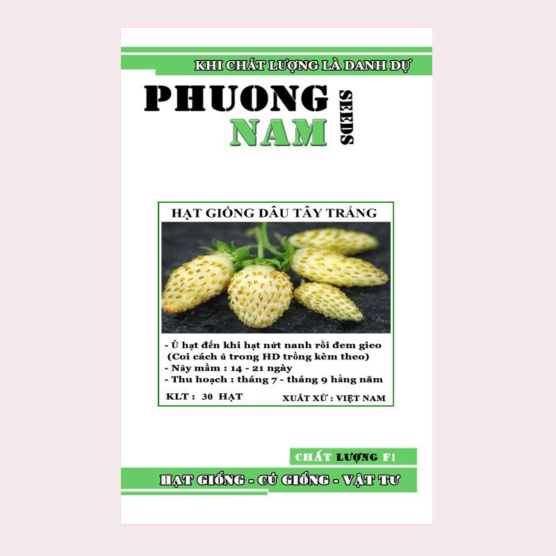 Hạt giống dâu tây trắng chất lượng F1 túi 30 hạt